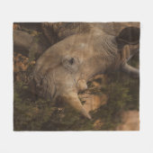 RHINO WILD TIERE FLEECEDECKE (Vorderseite (Horizontal))