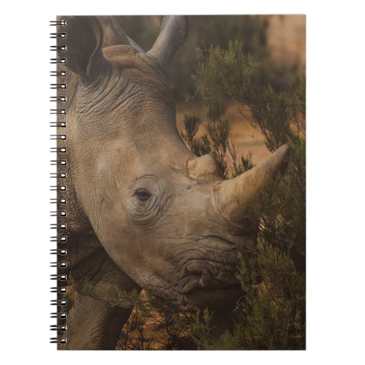 RHINO WILD TIERE NOTIZBLOCK (Vorderseite)