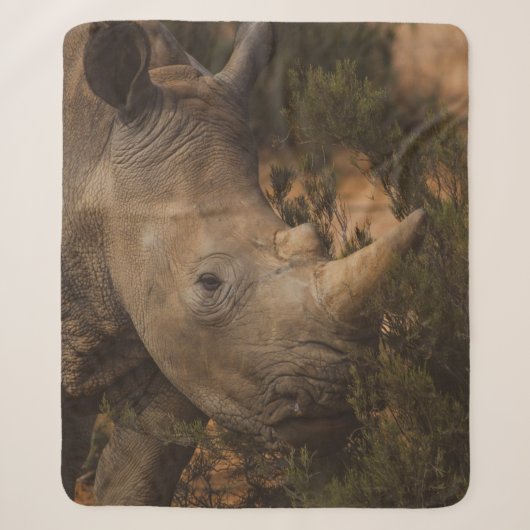 RHINO WILD TIERE SHERPADECKE (Vorderseite)