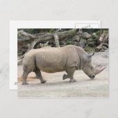 Rhinoceros auf der Strecke im Auckland Zoo Postkarte (Vorne/Hinten)