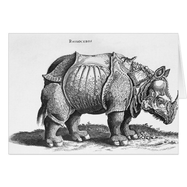 Rhinoceros, aus "Historia Animalium" (Vorderseite (Horizontal))