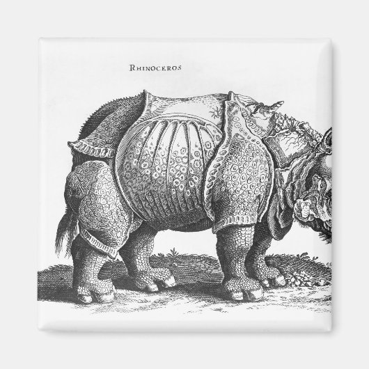 Rhinoceros, aus "Historia Animalium" Magnet (Vorne)