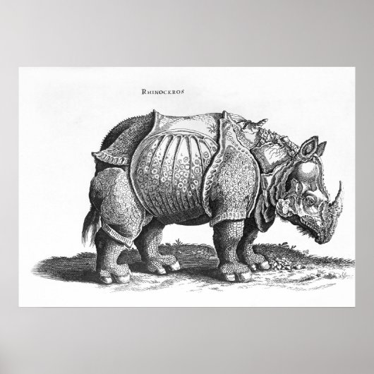 Rhinoceros, aus "Historia Animalium" Poster (Vorne)
