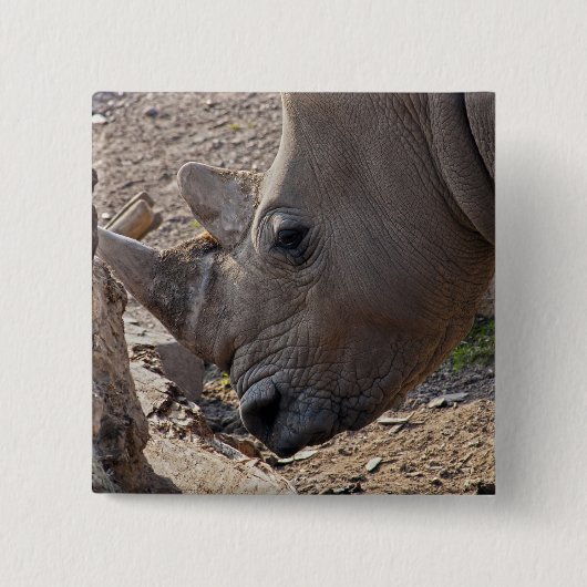 Rhinoceros Button (Vorderseite)