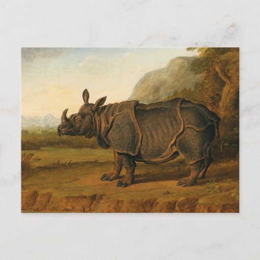 Rhinoceros Clara von Jean-Baptiste Oudry Postkarte (Vorderseite)