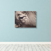 Rhinoceros Eye Leinwanddruck (Insitu (Holzboden))