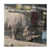 Rhinoceros Fliese (Vorderseite)