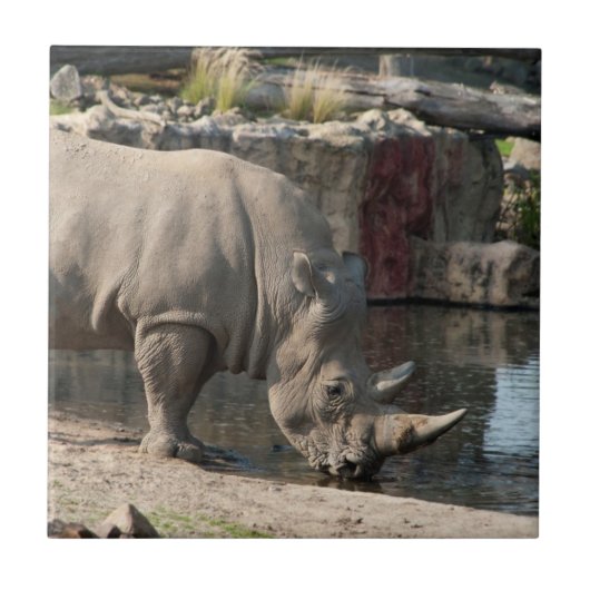 Rhinoceros Fliese (Vorderseite)