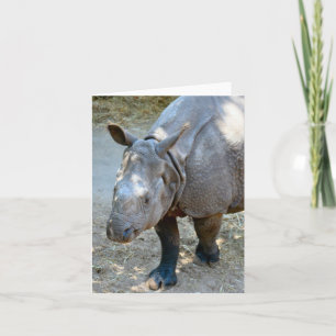 Rhinoceros Foto Faltkarte