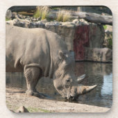 Rhinoceros Getränkeuntersetzer (Vorderseite)