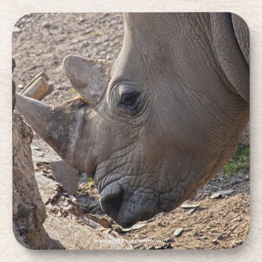 Rhinoceros Getränkeuntersetzer (Vorderseite)