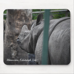 Rhinoceros, großartigere Rhinozeros im Zoo von Edi Mousepad