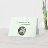 Rhinoceros Grußkarte Karte (Rückseite)