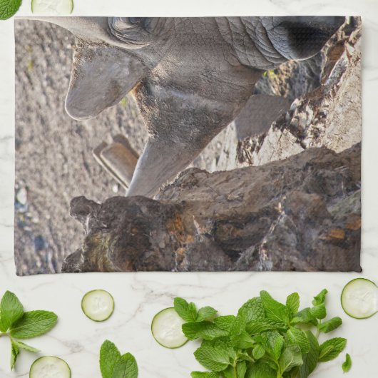 Rhinoceros Handtuch (Gefaltet)