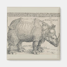 Rhinoceros, Holzschnitt von Albrecht Durer