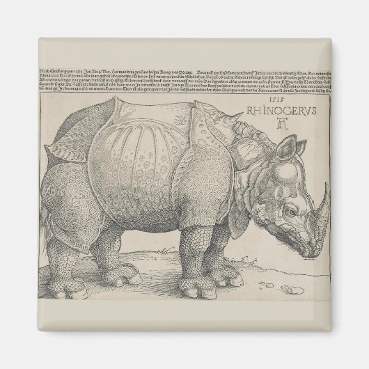 Rhinoceros, Holzschnitt von Albrecht Durer Magnet (Vorne)