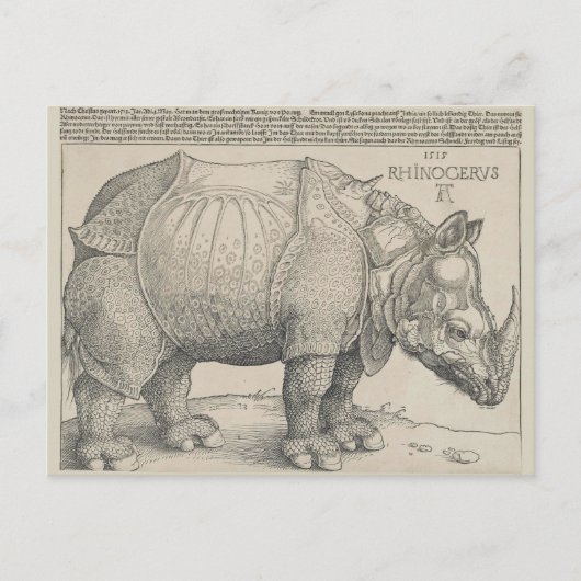 Rhinoceros, Holzschnitt von Albrecht Durer Postkarte (Vorderseite)