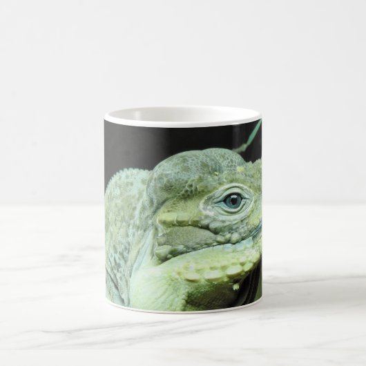 Rhinoceros Iguana Kaffeetasse (Mittel)