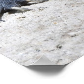 Rhinoceros Iguana Poster (Ecke)