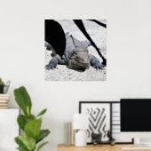Rhinoceros Iguana Poster (Heimbüro)
