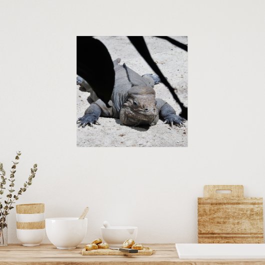Rhinoceros Iguana Poster (Küche)