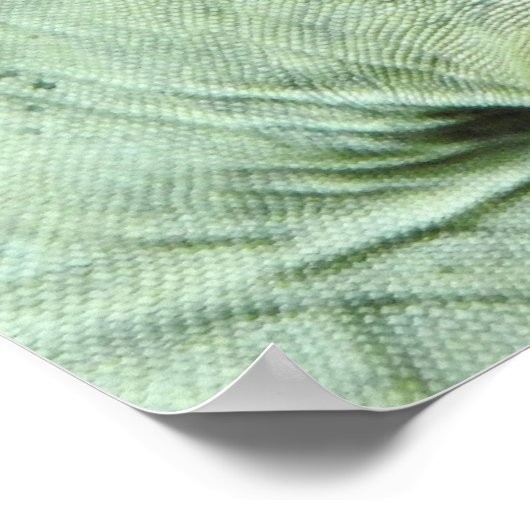 Rhinoceros Iguana Poster (Ecke)