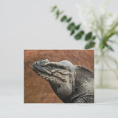 Rhinoceros Iguana Postkarte (Stehend Vorderseite)