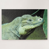 Rhinoceros Iguana Puzzle (Horizontal)