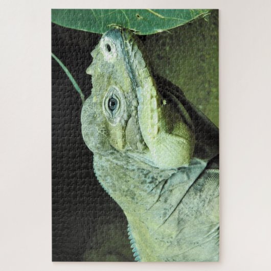 Rhinoceros Iguana Puzzle (Vertikal)