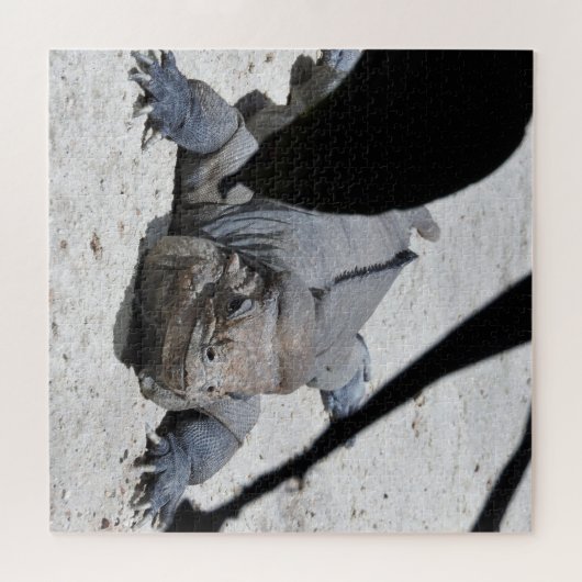 Rhinoceros Iguana Puzzle (Horizontal)