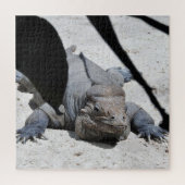 Rhinoceros Iguana Puzzle (Vertikal)