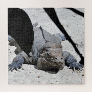 Rhinoceros Iguana Puzzle