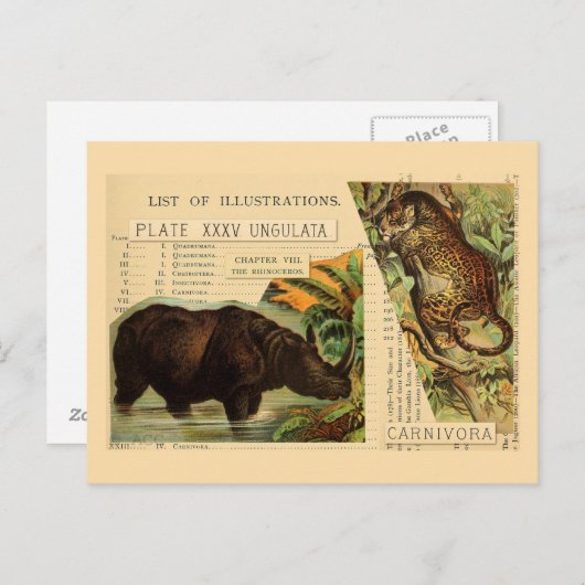 Rhinoceros Jaguar Postkarte (Vorne/Hinten)