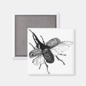 Rhinoceros Käfer Vintage Holzgrabung Magnet (Vorderseite/Rückseite)