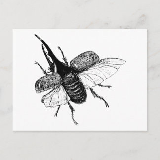 Rhinoceros Käfer Vintage Holzgrabung Postkarte