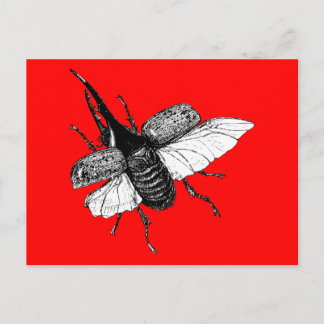 Rhinoceros Käfer Vintage Holzgrabung Postkarte