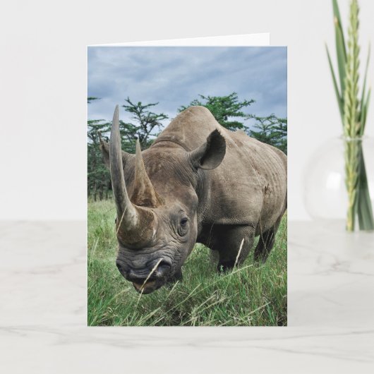 Rhinoceros| Kenia Karte (Vorderseite)
