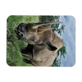 Rhinoceros | Kenia Magnet (Horizontal)