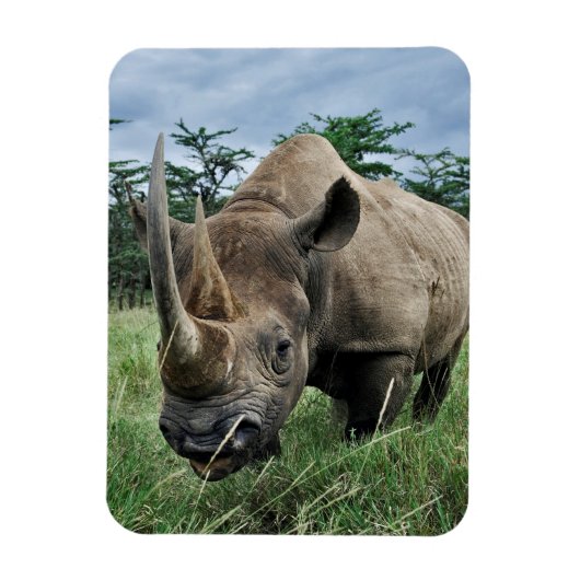 Rhinoceros | Kenia Magnet (Vertikal)