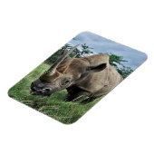 Rhinoceros | Kenia Magnet (Linke Seite)