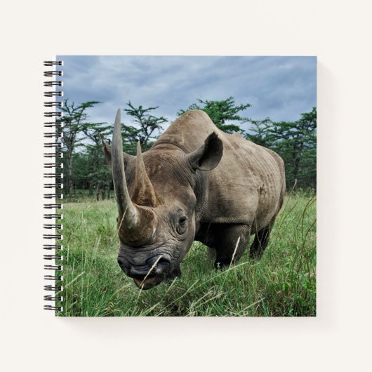 Rhinoceros | Kenia Notizblock (Vorderseite)