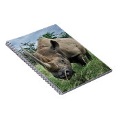 Rhinoceros | Kenia Notizblock (Rechte Seite)