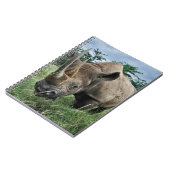 Rhinoceros | Kenia Notizblock (Linke Seite)