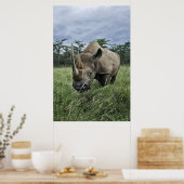 Rhinoceros | Kenia Poster (Küche)