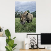 Rhinoceros | Kenia Poster (Heimbüro)