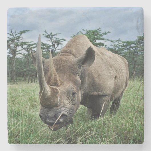 Rhinoceros | Kenia Steinuntersetzer (Vorderseite)