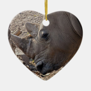 Rhinoceros Keramikornament