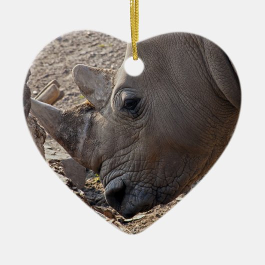 Rhinoceros Keramikornament (Vorne)