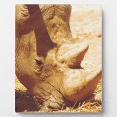 Rhinoceros-Liebe Fotoplatte (Vorderseite)