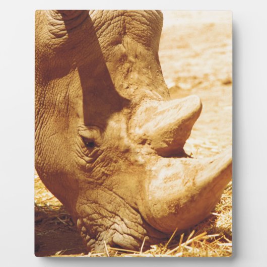 Rhinoceros-Liebe Fotoplatte (Vorderseite)